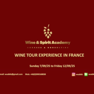 Wine Tour Experience in France