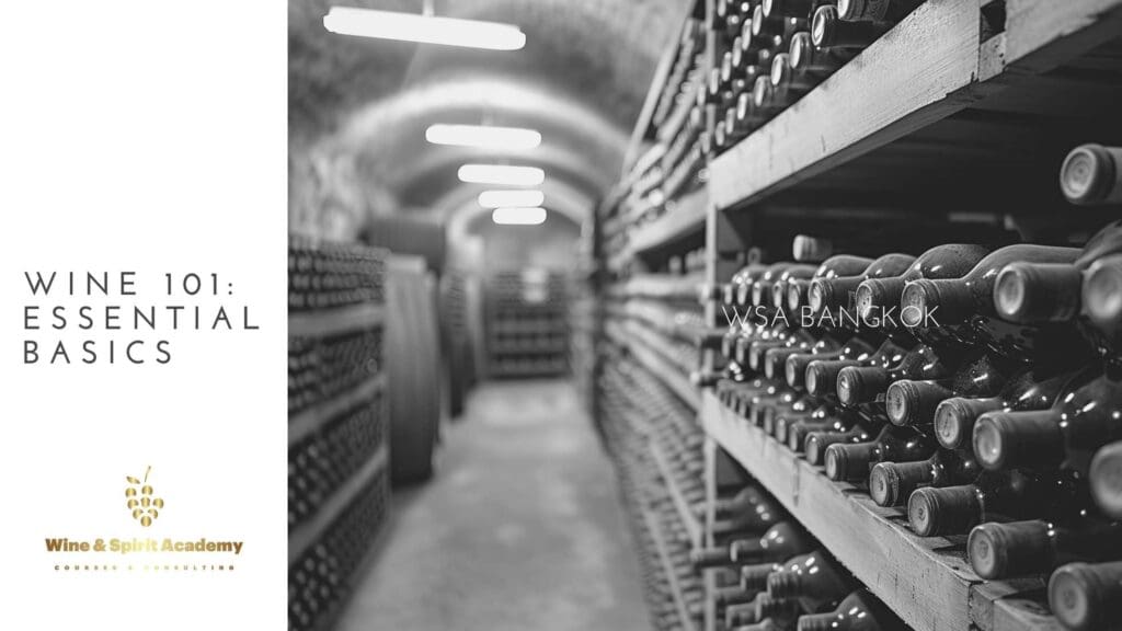 Wine 101 Essential Basics - WSA Bangkok