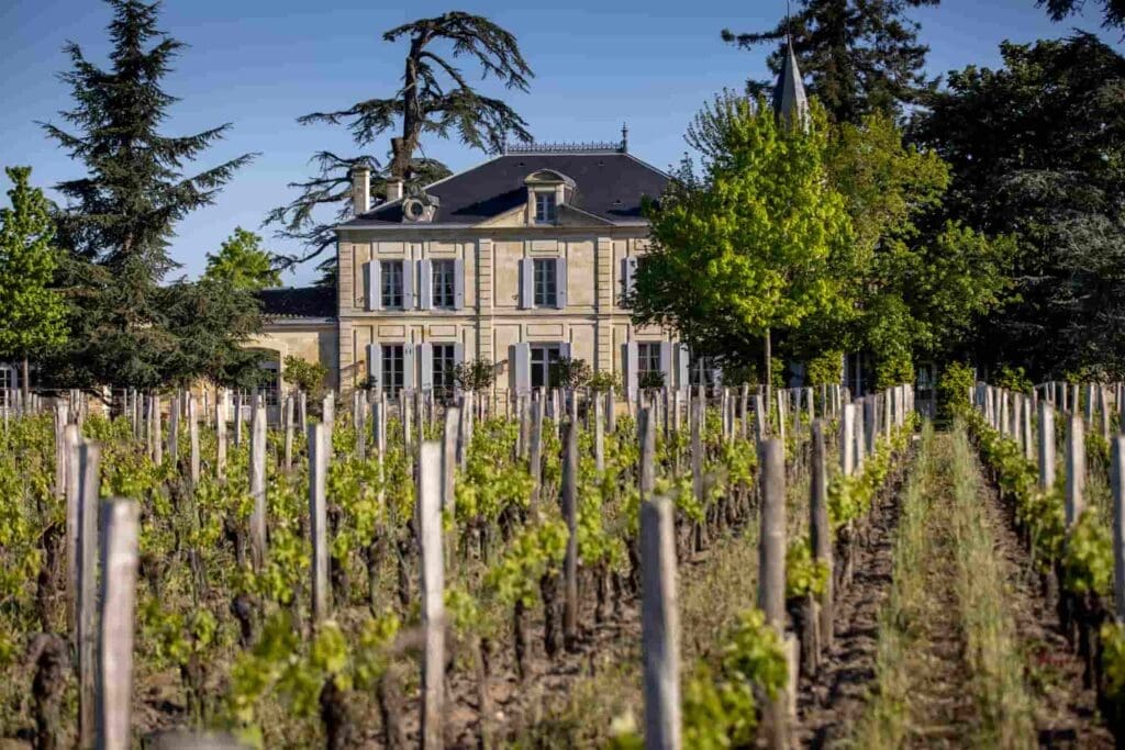 Wine Tours with WSA Bangkok to France
