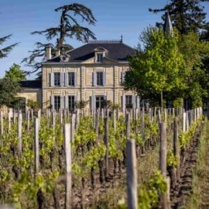 Wine Tour Experience in France