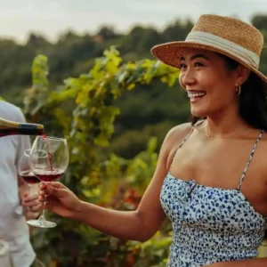 Wine Tour Experience in France