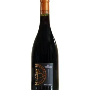 Domaine Denis Bardon Les Damnes 2023