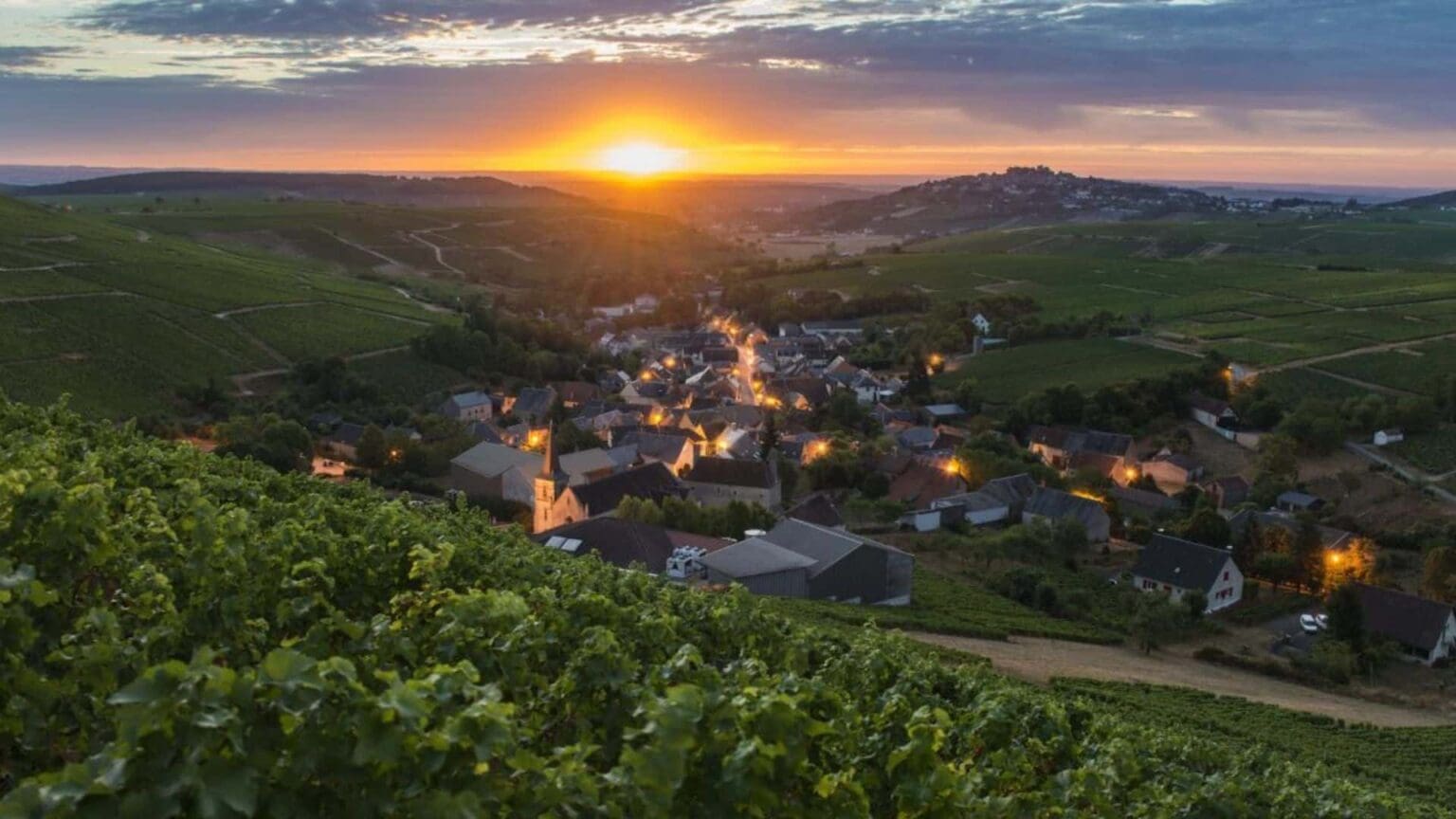 ทัวร์ไวน์ไปฝรั่งเศสกับ WSA กรุงเทพฯ