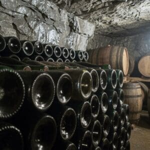 French white wine class