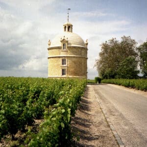 พื้นฐานทักษะซอมเมลิเยร์: ผู้เชี่ยวชาญ