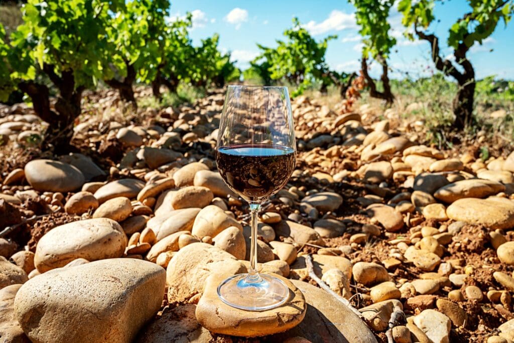 Image-Chateauneuf-du-Pape-wine-glass-vineyard-stones-1