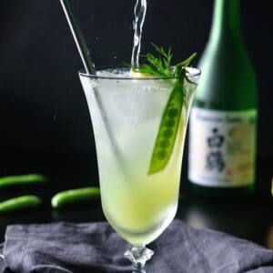Wine & Sake Mixology