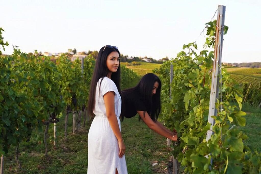  Students visiting Champagne vineyards during WSA Wine Tour in France 2026