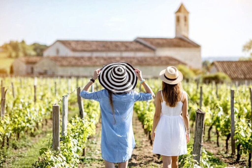Students walking in the vineyard of Saint Emilion