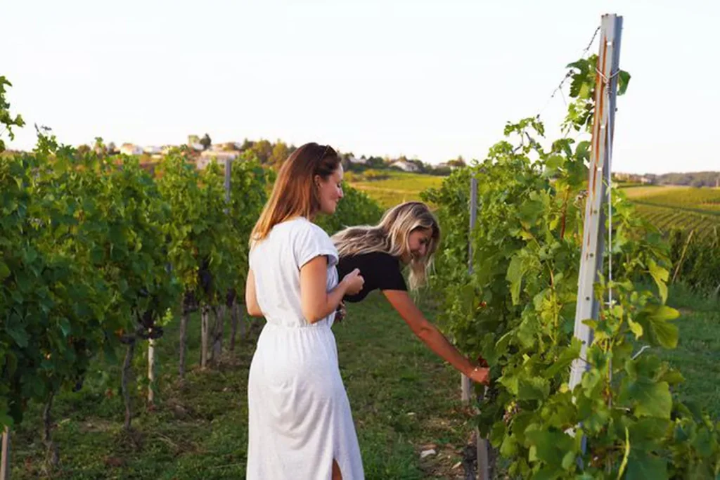 การเยี่ยมชมไร่องุ่นในแชมเปญกับนักศึกษาจาก Wine & Spirit Academy