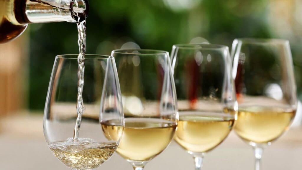 Wine 101 Bangkok 2026 – มือใหม่ชิมไวน์ 10 ประเทศในคอร์ส Foundation of Sommelier Skills Basic ที่ Wine & Spirit Academy