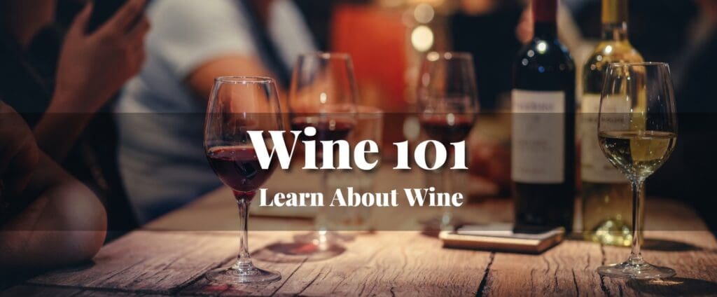 Wine 101 Bangkok 2026 – Absolute beginners learning wine basics in a friendly class at Wine & Spirit Academy