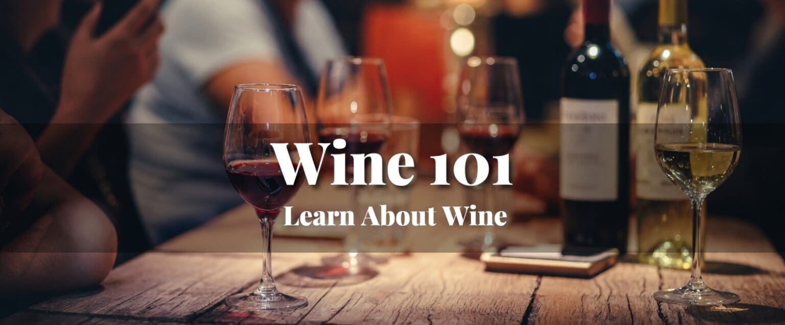 Wine 101 Bangkok 2026 – Absolute beginners learning wine basics in a friendly class at Wine & Spirit Academy