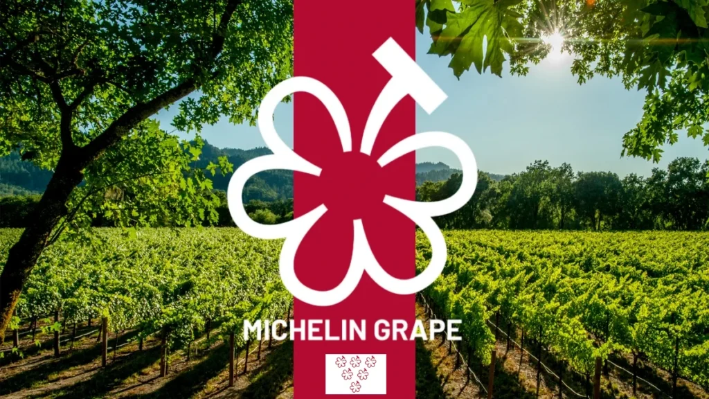 Michelin Grape for vineyard WSA Bangkok