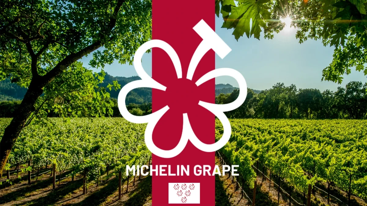 สัญลักษณ์ Grappes Michelin รางวัลคัดเลือกไร่ไวน์ที่ดีที่สุดในแคว้นบูร์กอญ